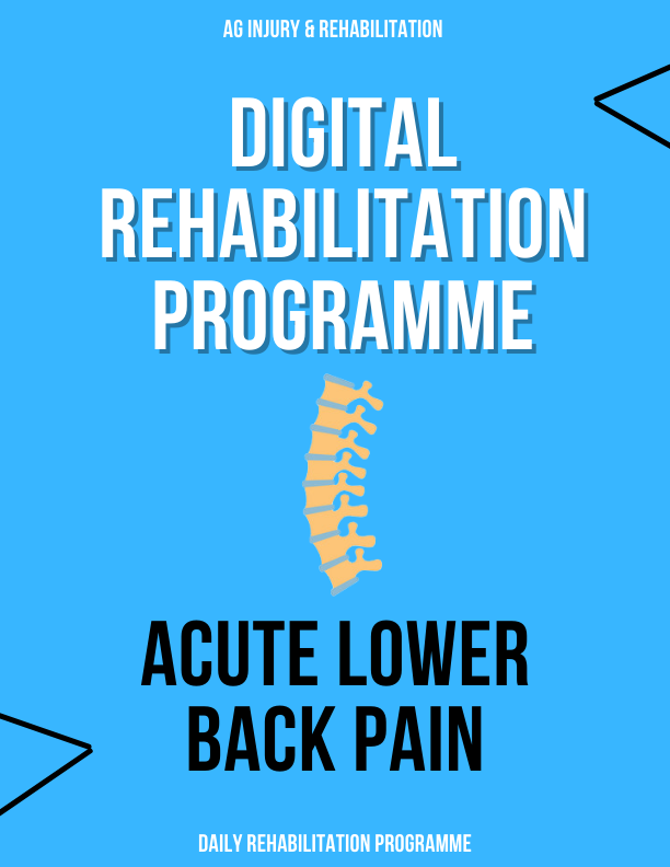 Acute Lower Back Pain Rehabilitation Programme-Injury Rehabilitation Programme-Booty Bits