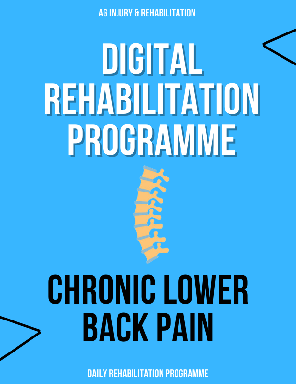 Back Injury Program Chronic Lower Back Pain Rehabilitation Programme – AG Injury ...