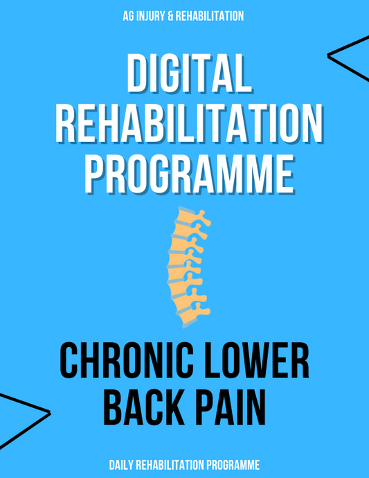 Chronic Lower Back Pain Rehabilitation Programme-Injury Rehabilitation Programme-Booty Bits